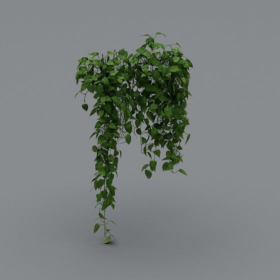 Low-Poly Hanging Plant 3D model
