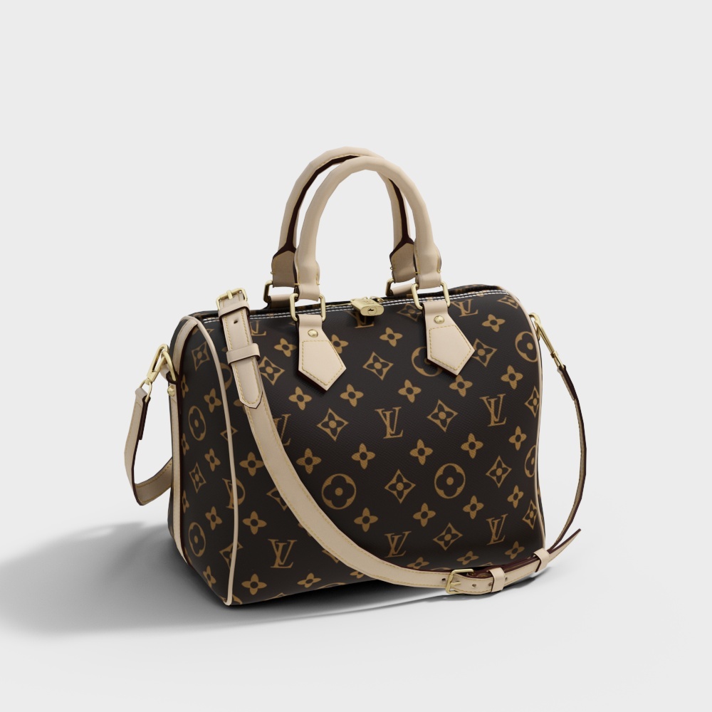 LV bag 02