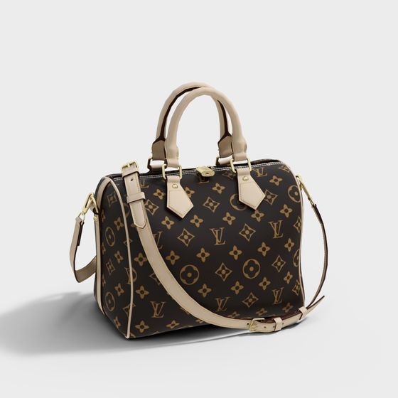 Elegant Louis Vuitton Speedy Bag 3D model
