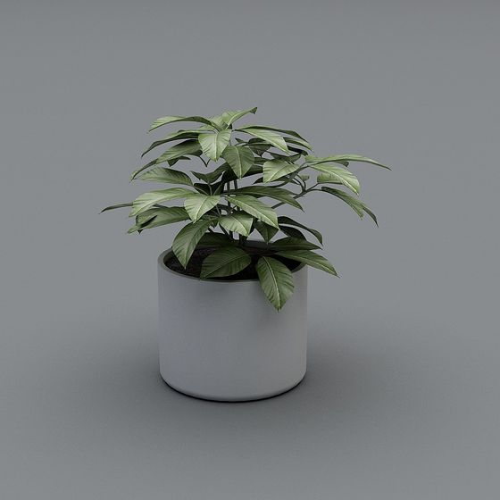 Green Plant 3D Model for Vibrant Interiors