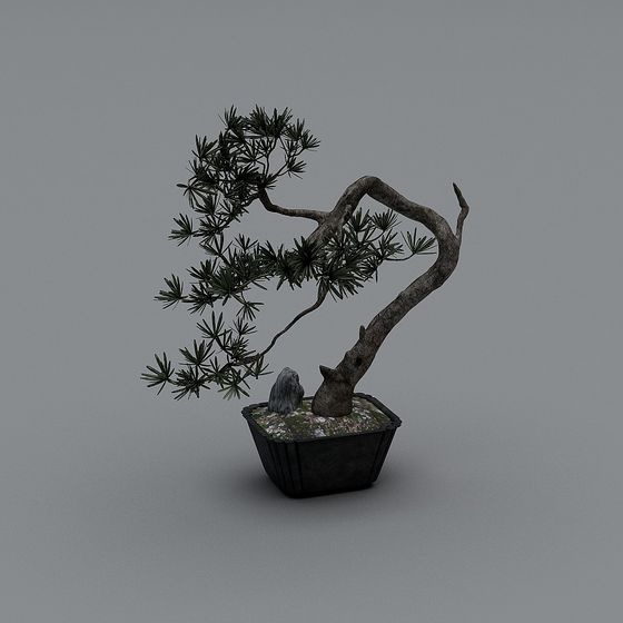 Ancient Style Bonsai 3D Model