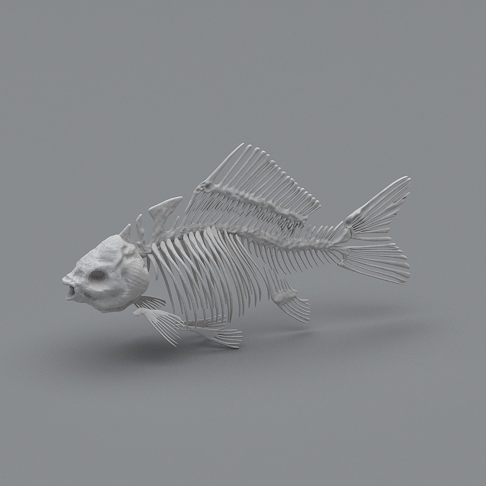 Mysterious Deep Sea Fish Skeleton 3D model