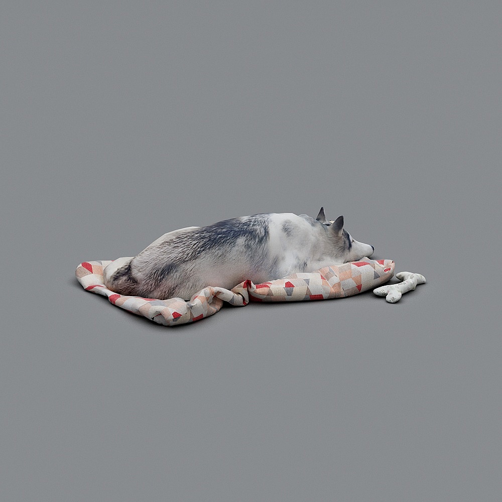 Cozy Canine 3D model