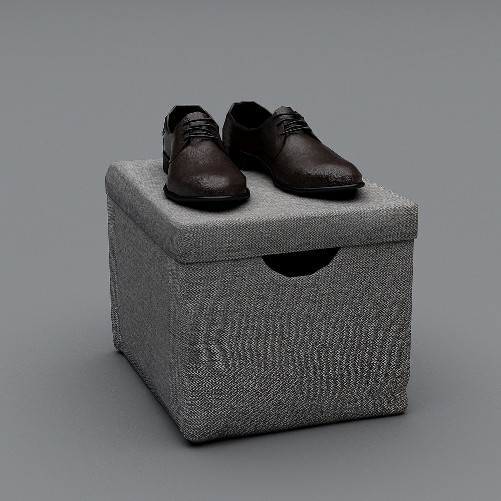 Storage Box with Leather Shoes 3D model