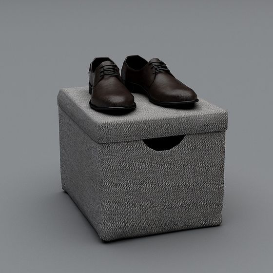 Storage Box with Leather Shoes 3D model