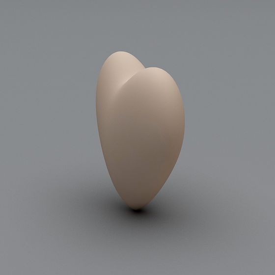 Streamlined Heart 3D model