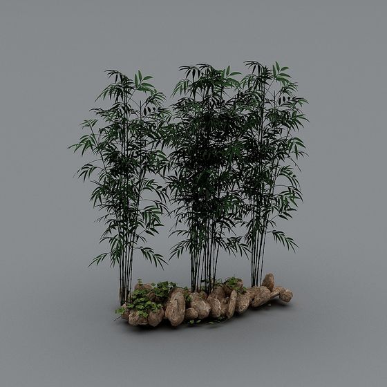 Bamboo Grove 3D model for Natural Scenes