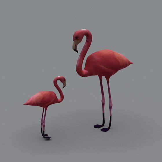 Elegant Flamingo 3D Model
