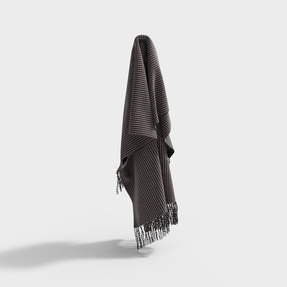 Tassel Blanket 3D model