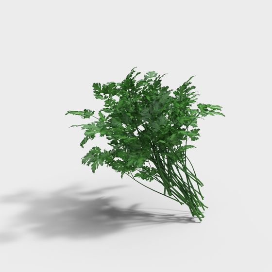 Vegetables-04