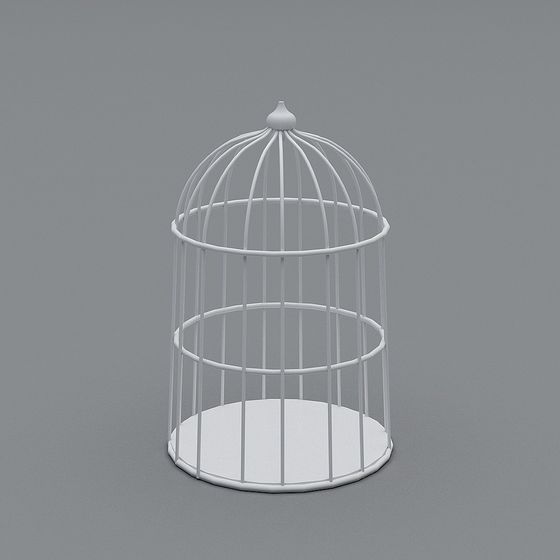 Elegant Minimalist Birdcage 3D model