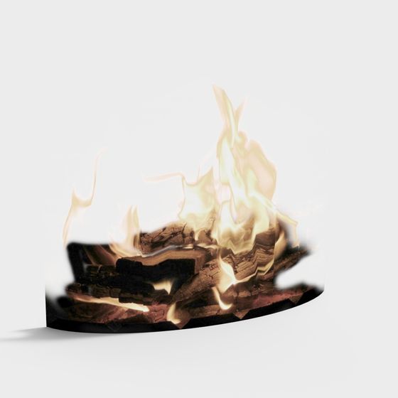 Warmth of Fire 3D model