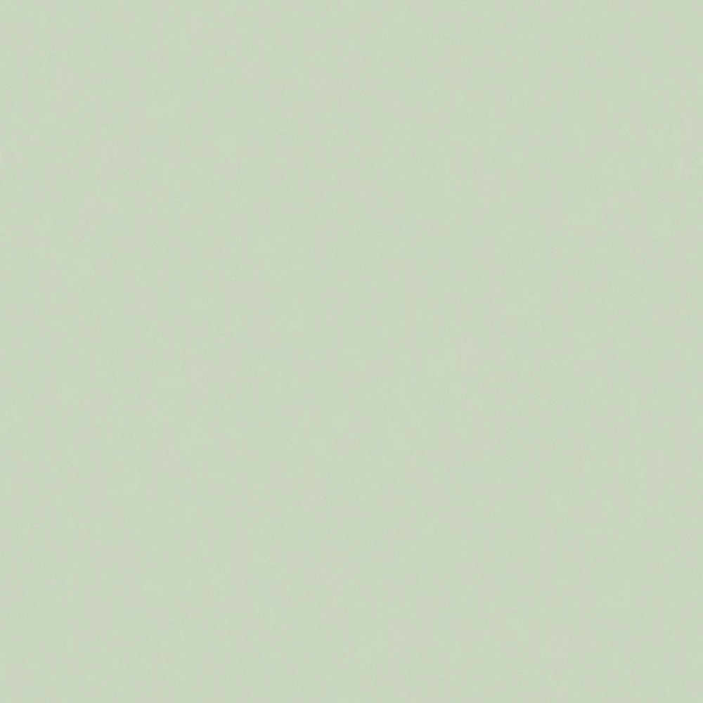 Crocodile-wall paint/paint