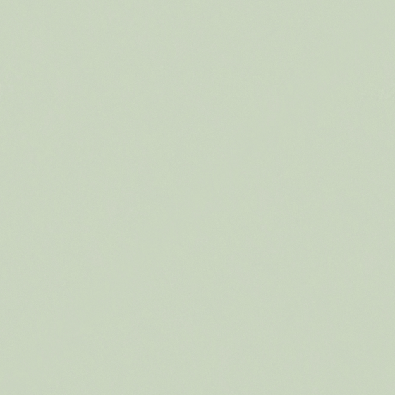 Crocodile-wall paint/paint