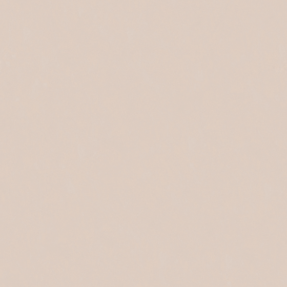 Earth Colored Crocodile Wall Paint 3D Model