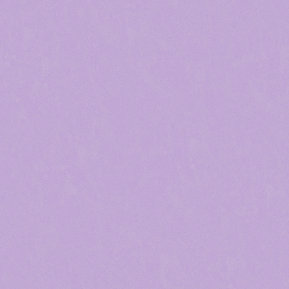 Crocodile-wall paint/paint