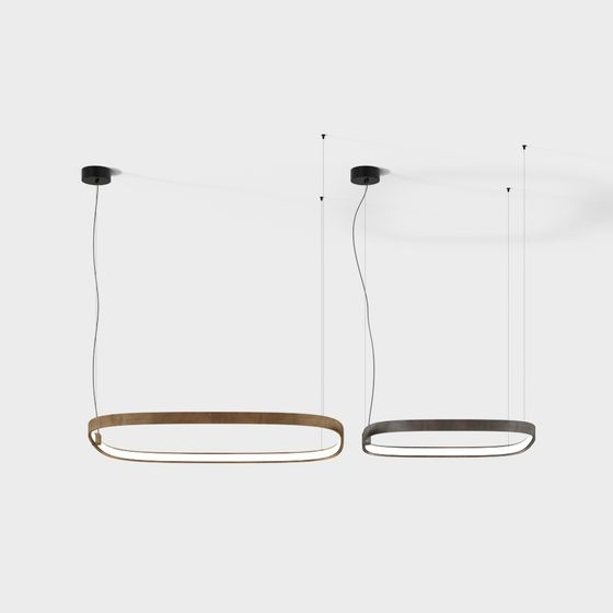 Elegant Ring Pendant Light 3D model