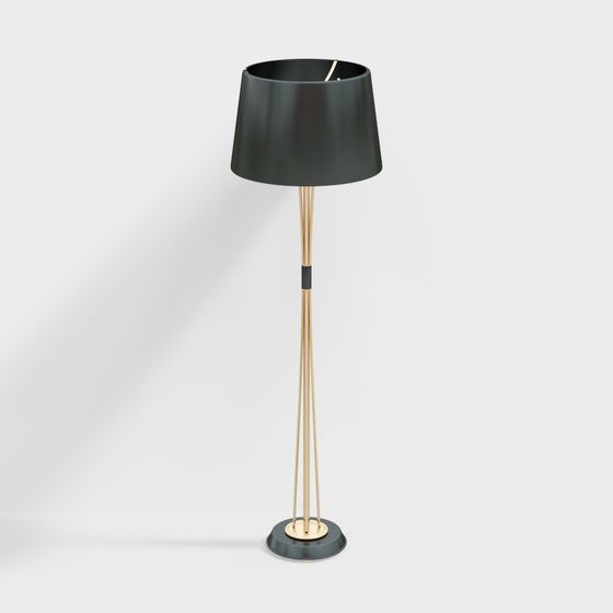 Minimalist Elegant Floor Lamp 3D model
