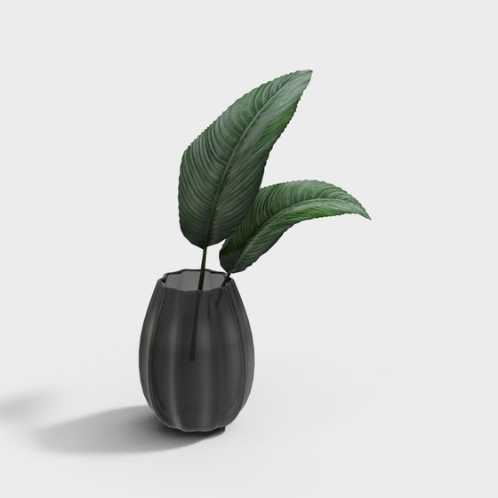 Modern Minimalist Vase with Plants 3D model