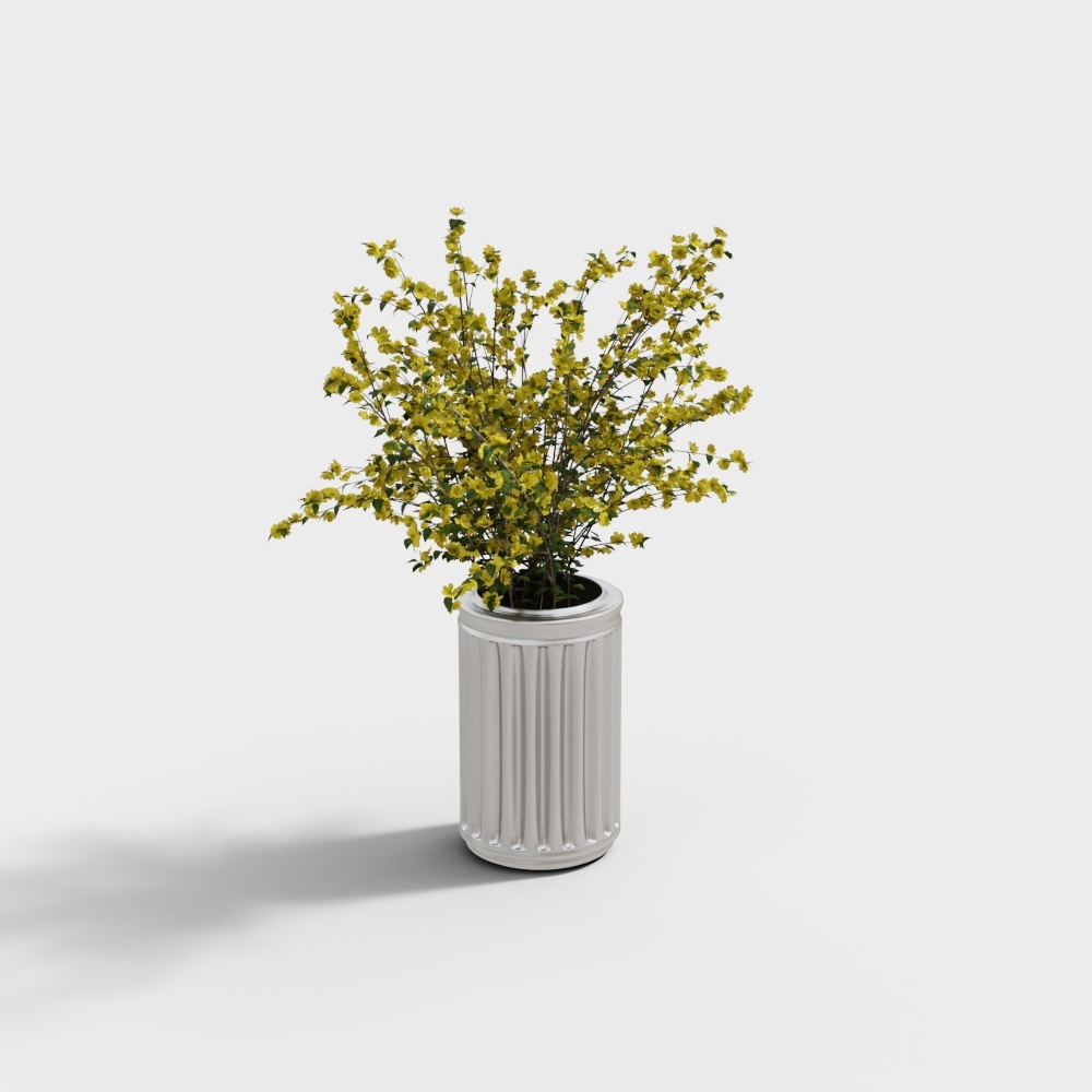 Piante_1336148.59b9b5d25da8d