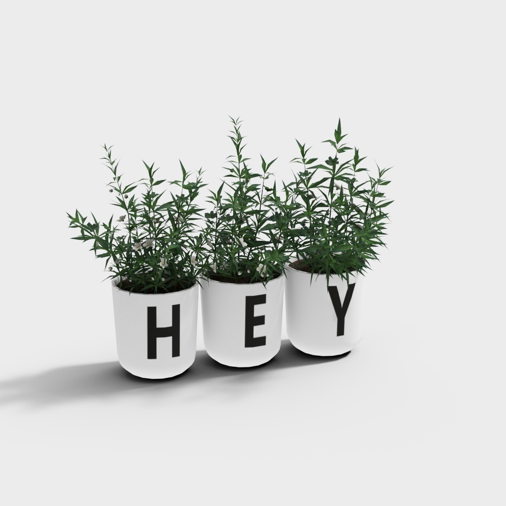 Hey Planters 3D model