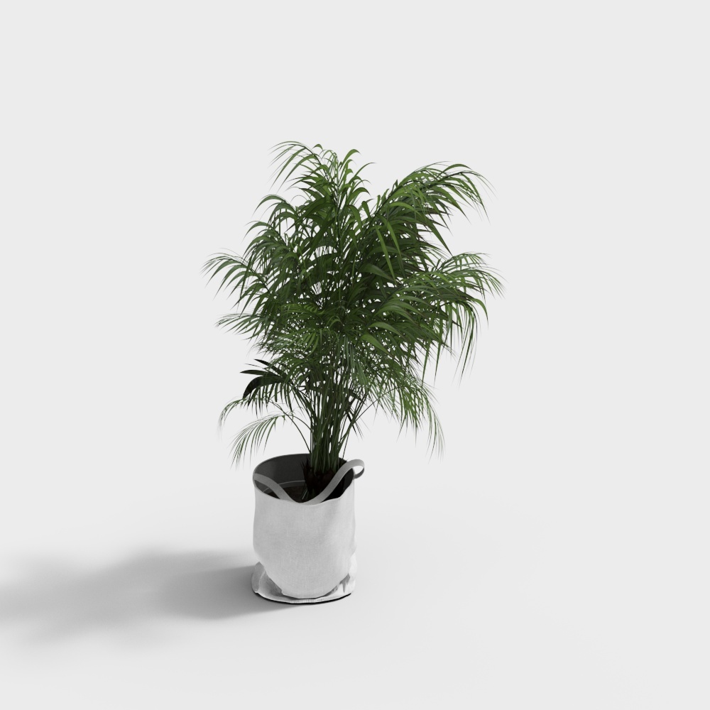 Potted Palm 3D model for Modern Interiors