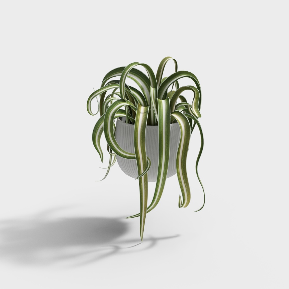 Plante 1039894.58ff090e658c0