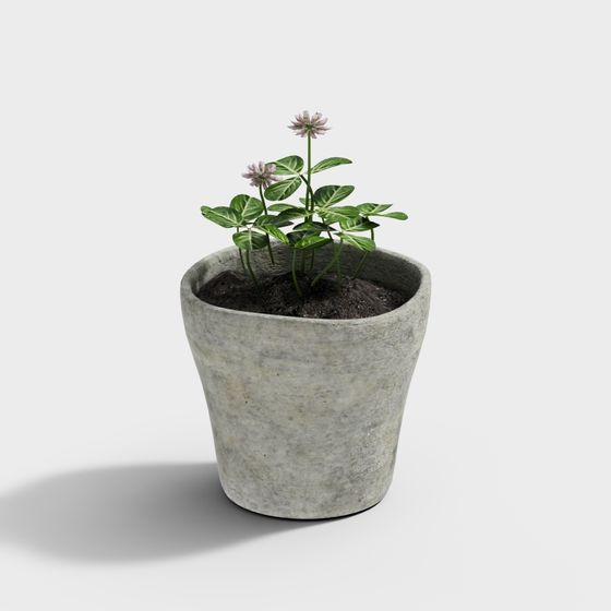 Concrete Planter with Plant 3D model
