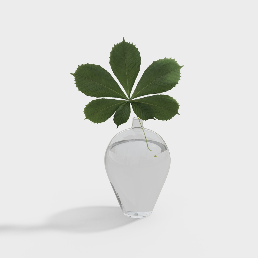 Cây_620304.57c3ed694144