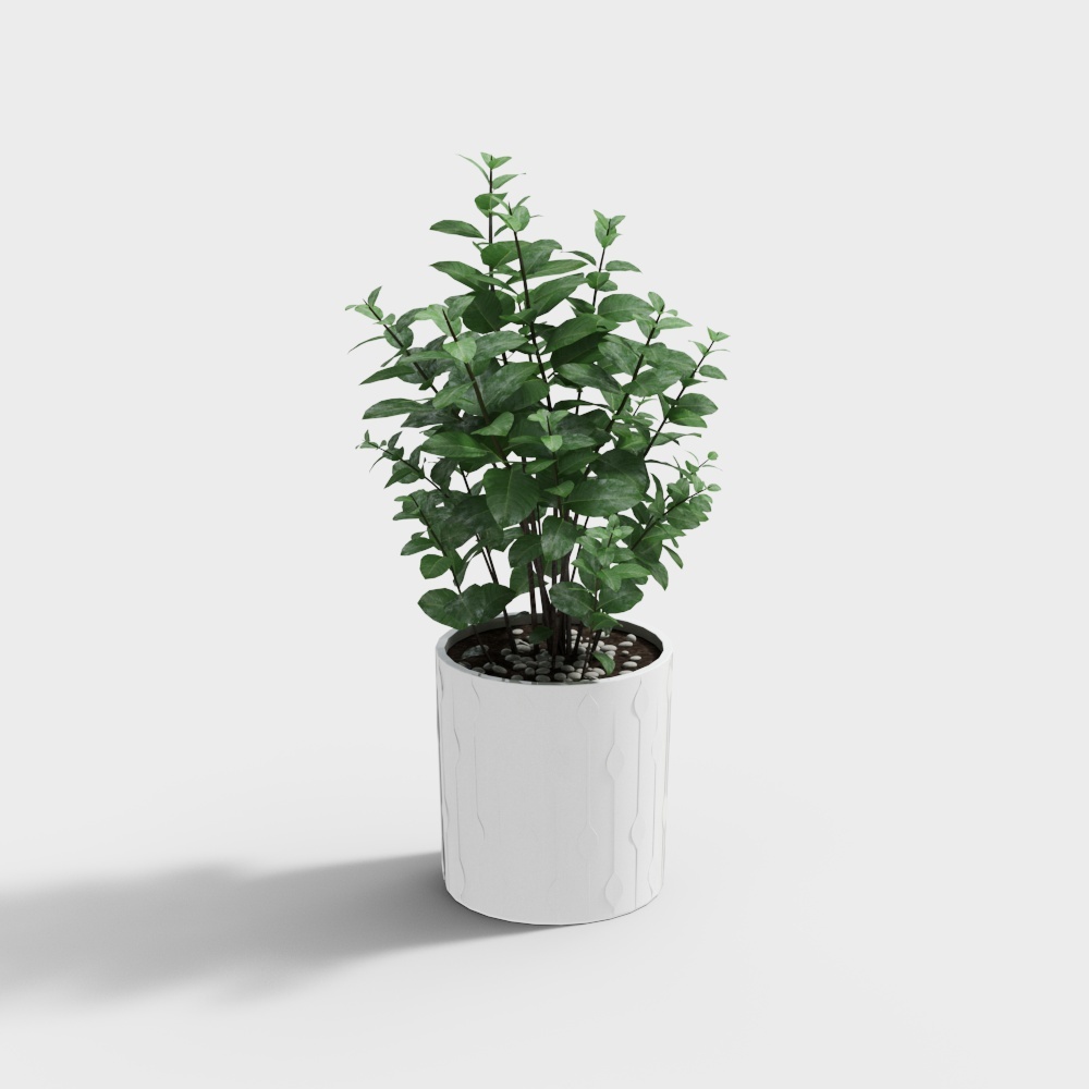 พืช 1309733.59a737930e3d0_0