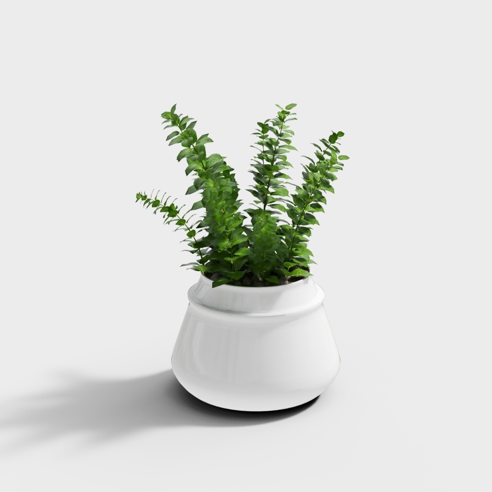 Plante_481501.56cdf2dddf61_0