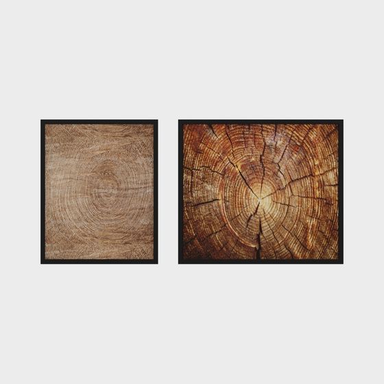 Low-Polygon Tree Trunk 3D Model for Nature Scenes