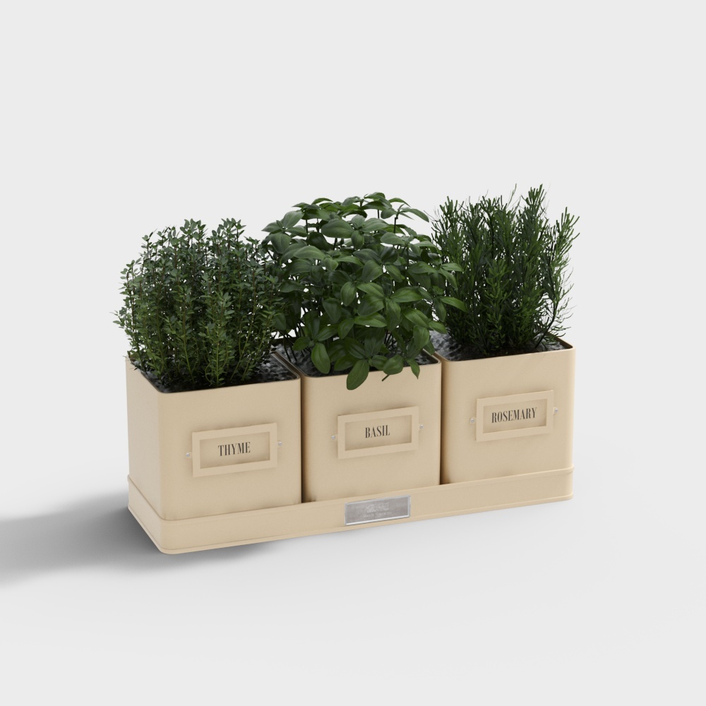 vizpeople_Potted plant_2