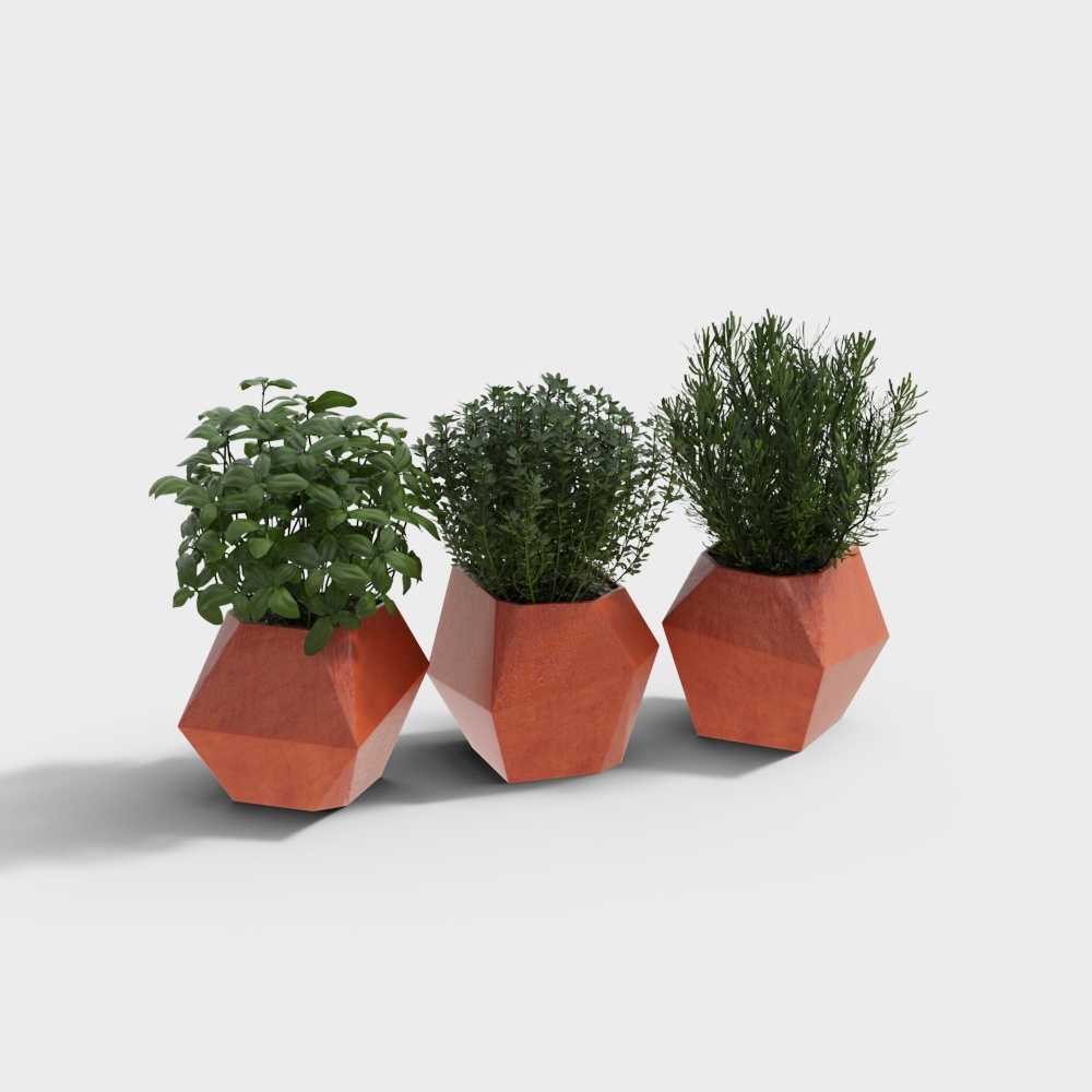 vizpeople_Potted plant_3