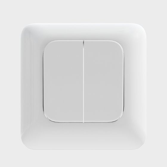 Dual Switch Panel 3D Model