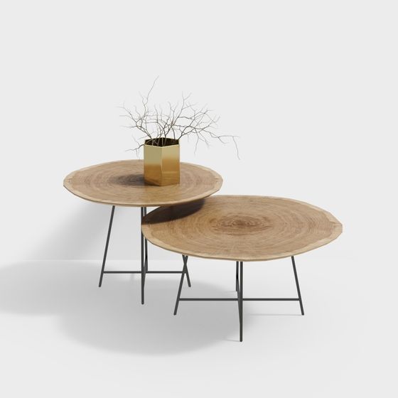 Natural Rhythm Round Table 3D model for Creative Spaces