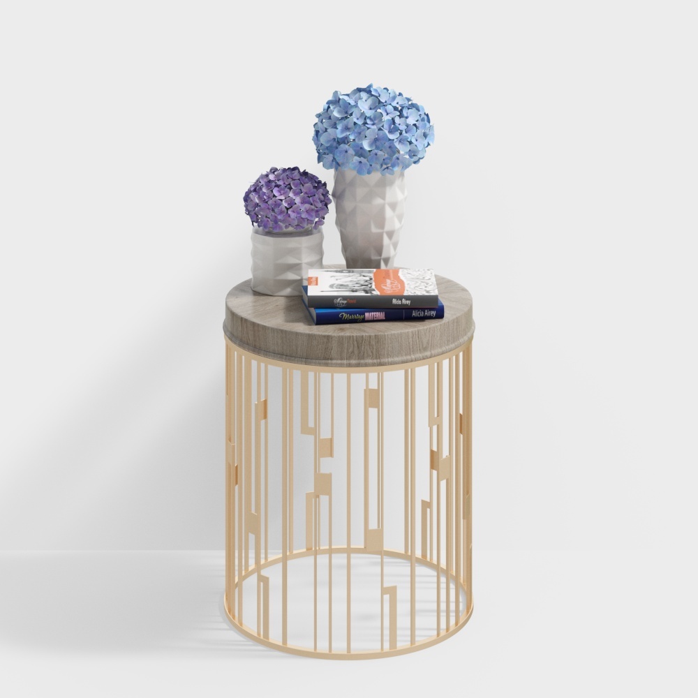 modern side table+golden