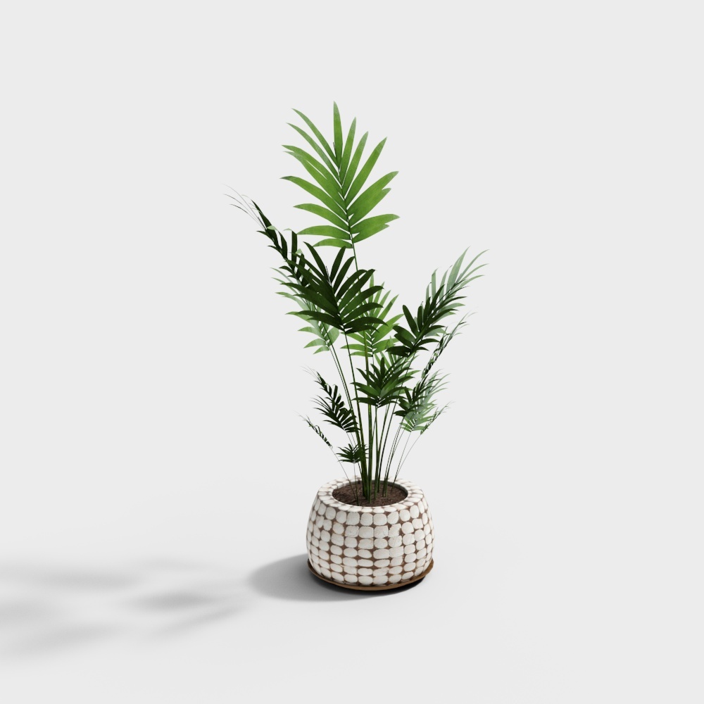 Tropical Style Potted Plant 3D model