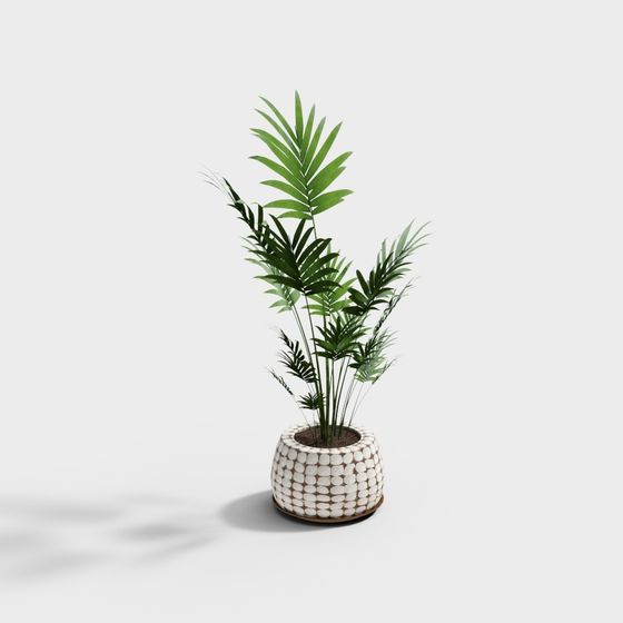 Tropical Style Potted Plant 3D model