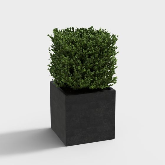 City Oasis 3D model for Urban Greenery