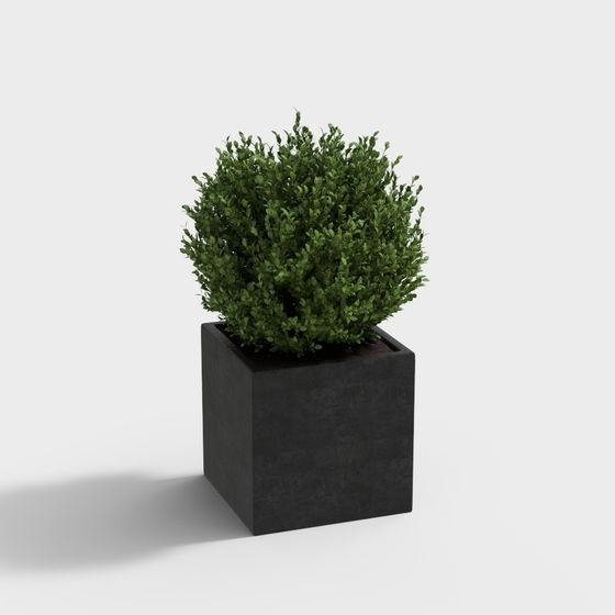 Urban Greenery Low-Poly 3D Model