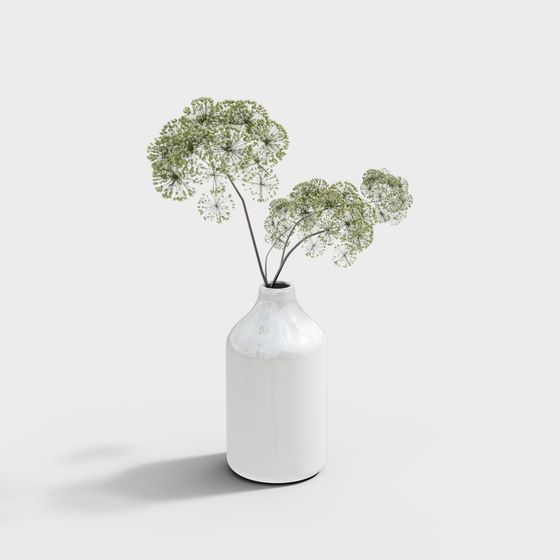 Plante d'ornement-30