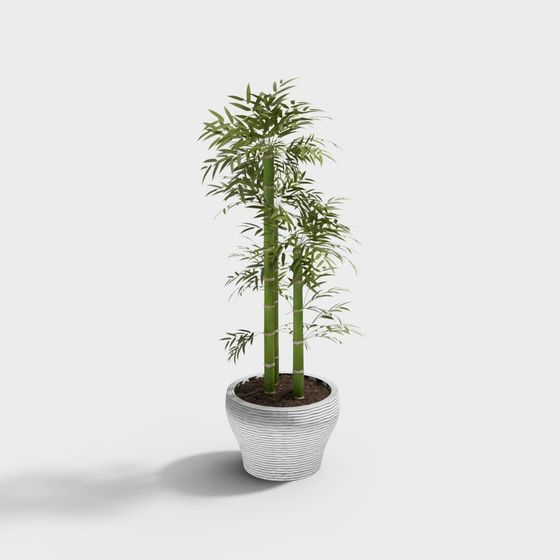 Low Poly Bamboo Plant 3D Model