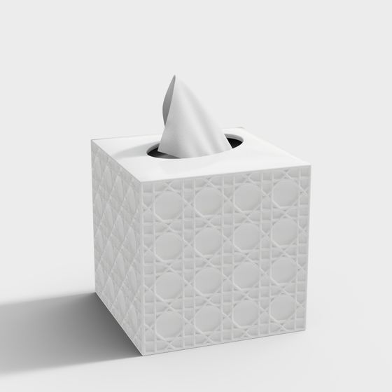 Geometric Light Tissue Box 3D model