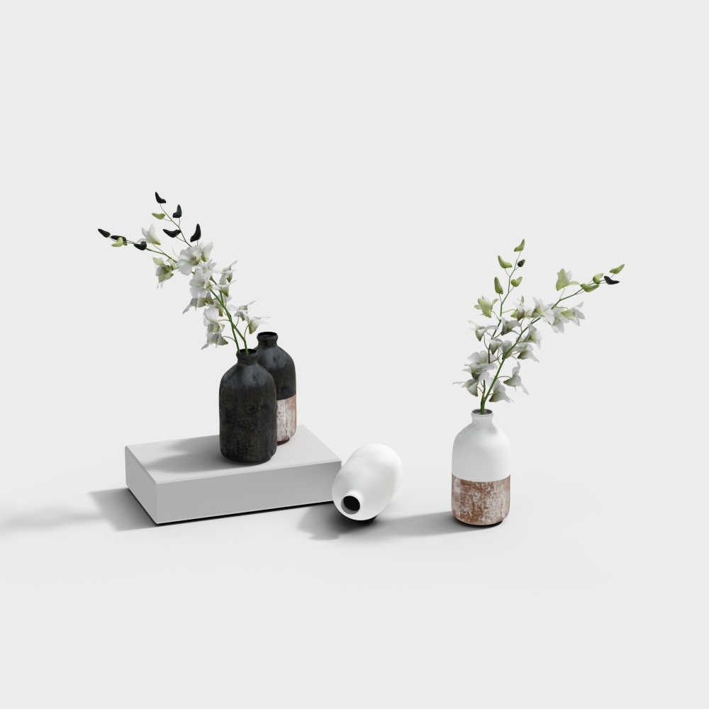 Plantes ornementales-20