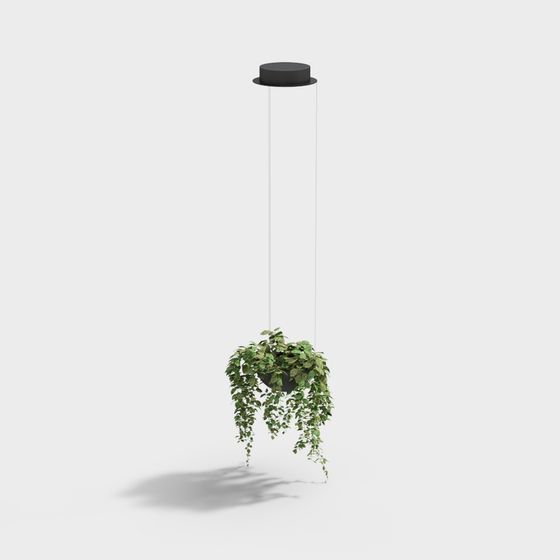 Hanging Plant Pendant Light 3D model: Perfect Modern Minimalism