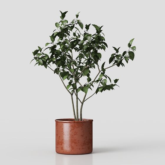 Realistic Indoor Plant 3D Model for Creative Projects