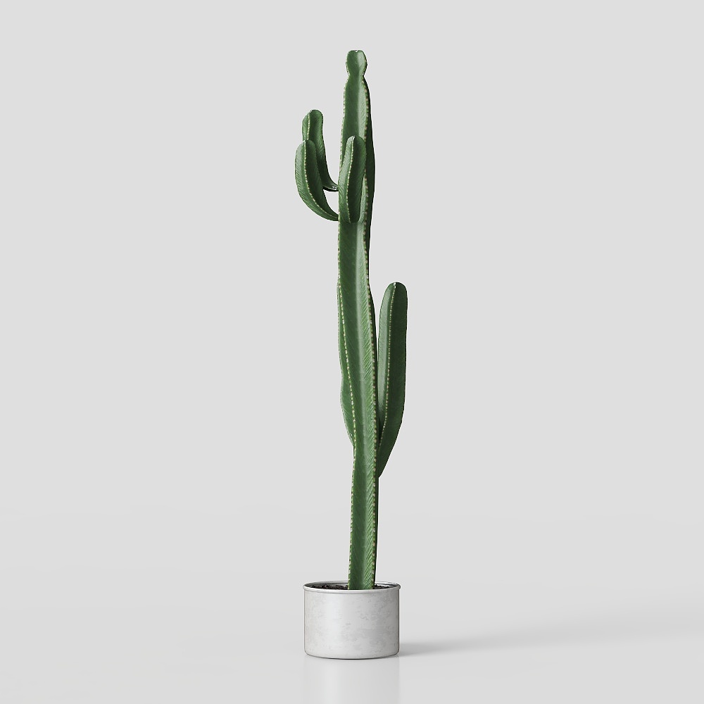 Cây xanh trang trí 16