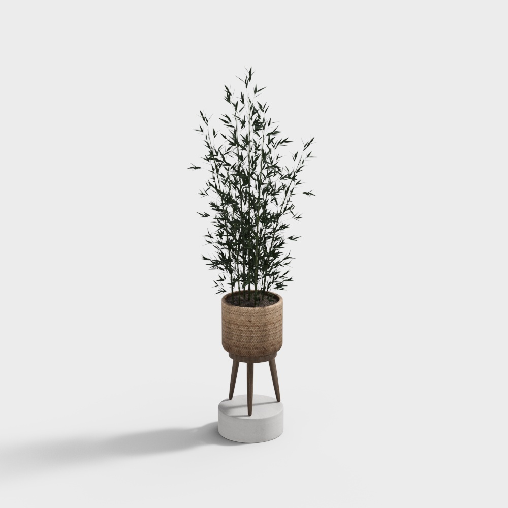 พืชสีเขียว 7