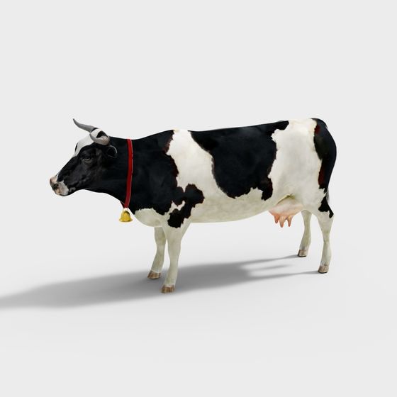 Realistic Black and White Cow 3D model